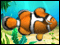 Lost in Reefs Deluxe