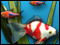 FishCo Deluxe