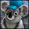 Big City Adventure Sydney Puzzle Big City Adventure Sydney spielen