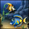 Fishdom Puzzle Fishdom spielen